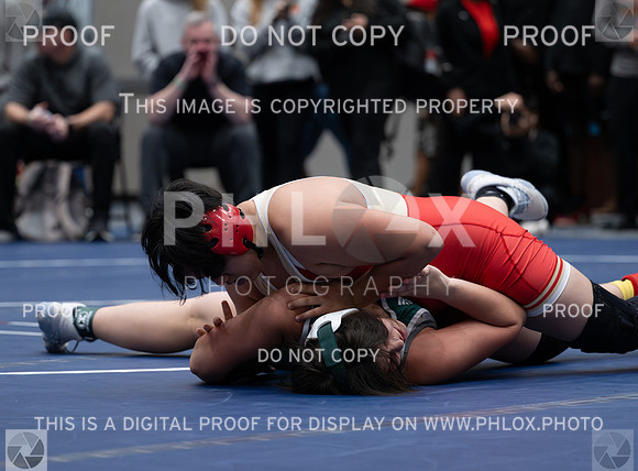 DLS_8892