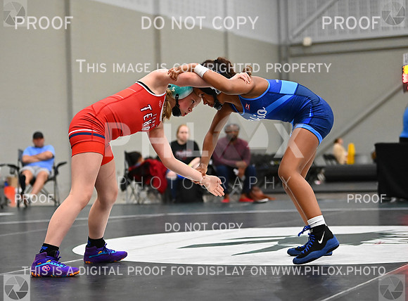 DLS_8452