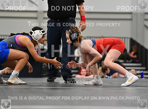 DLS_6815