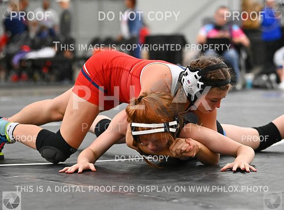 DLS_9138