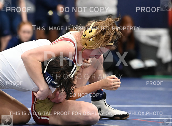 DLS_4435