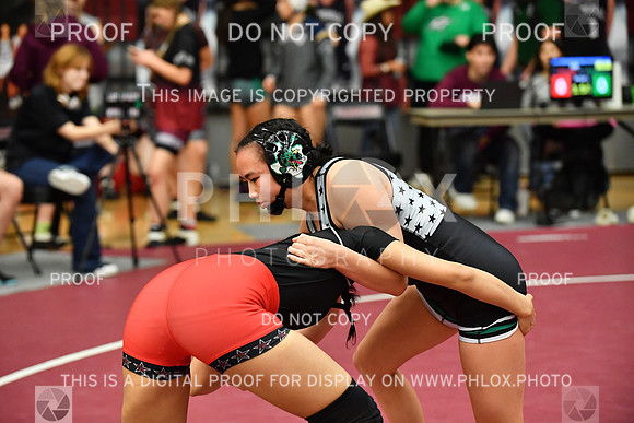 RAY_0513