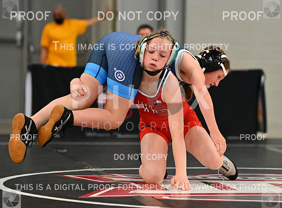DLS_8839