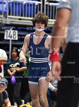 DLS_0607