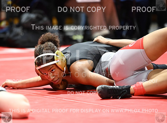 DLS_6430
