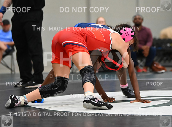 DLS_8538