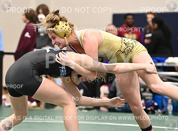 DLS_4952