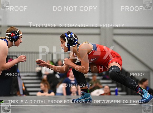 DLS_6870