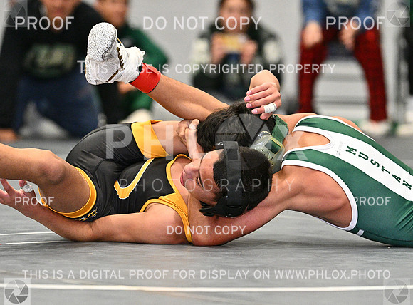 DLS_8428