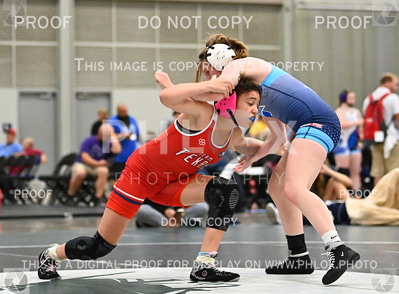 DLS_8099