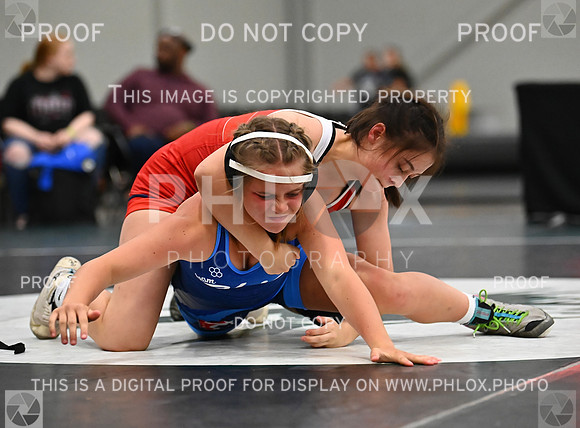 DLS_8630