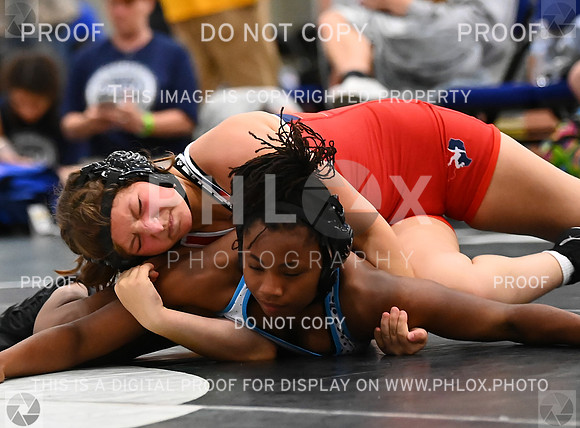DLS_7971