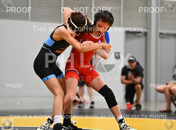 DLS_7734
