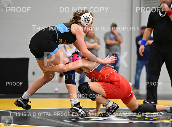 DLS_7852