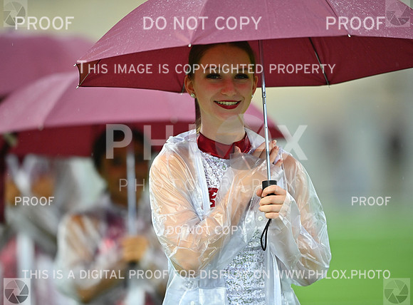 DLS_5068