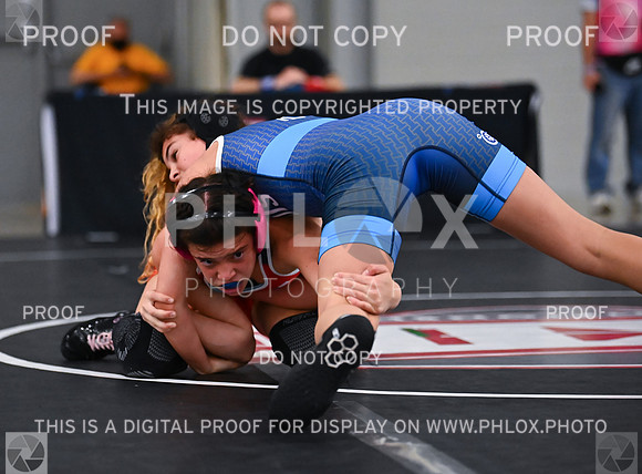 DLS_8989