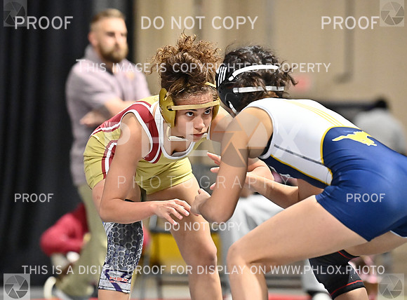 DLS_7242