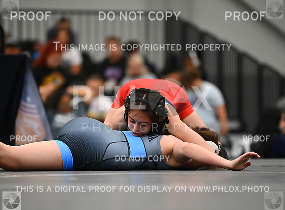 DLS_7368