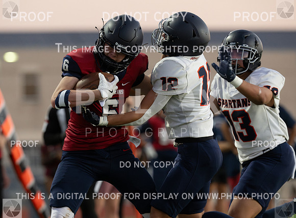 DLS_8670