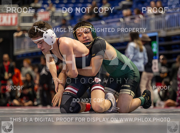 DLS_6763-Enhanced-NR