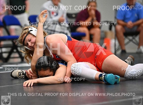 DLS_8796