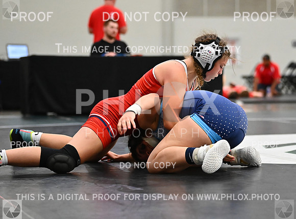 DLS_8237