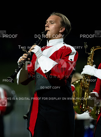 DLS_3795