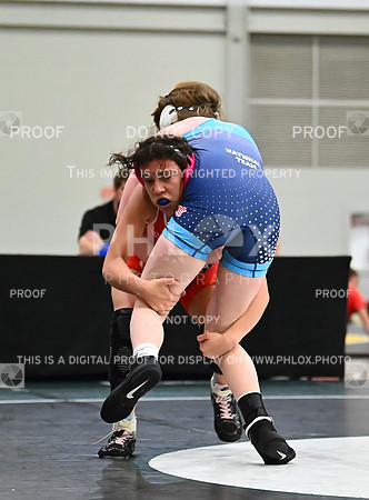 DLS_8148