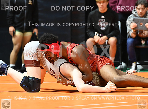 DLS_6883