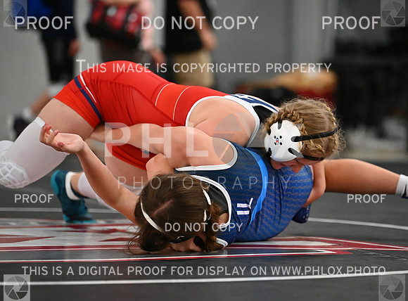 DLS_9024