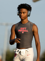 DLS_2008
