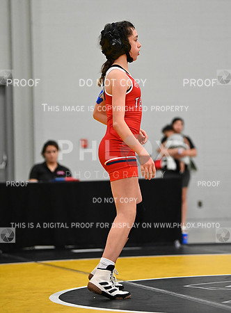 DLS_7732