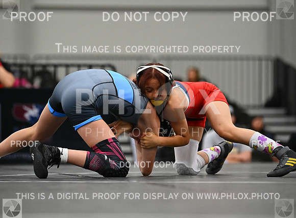 DLS_7497