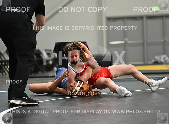 DLS_8060