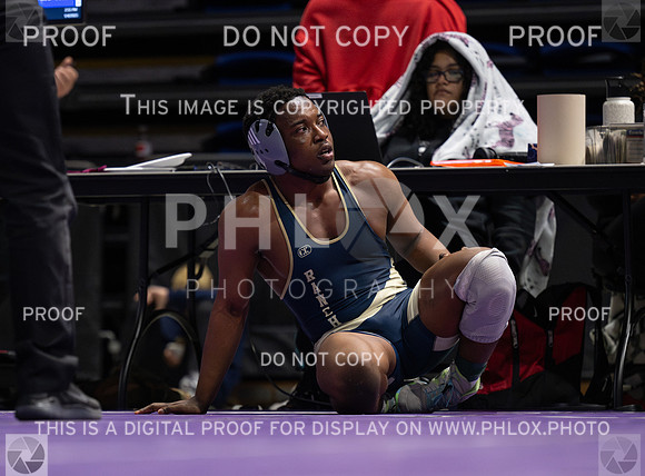 DLS_9673