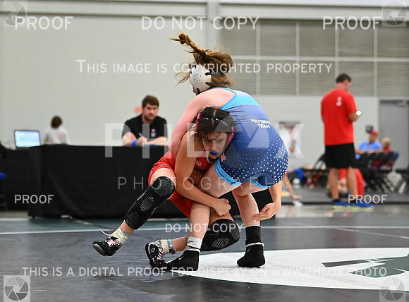 DLS_8151