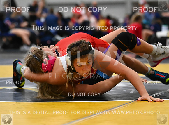 DLS_7637