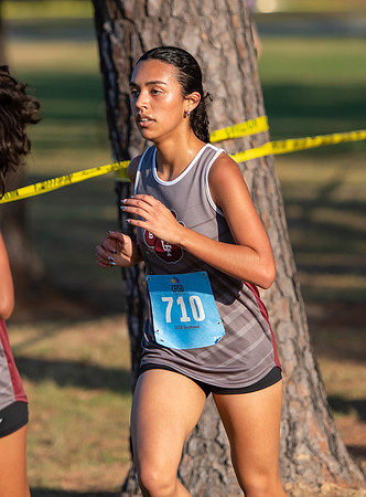 CAR_9551
