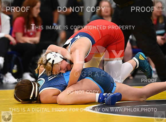 DLS_7083