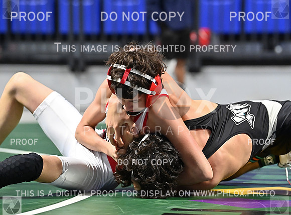 DLS_9871