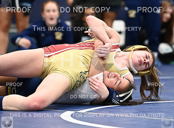 DLS_4476