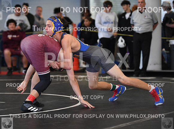 FDS_2599
