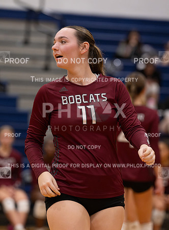 DLS_8179