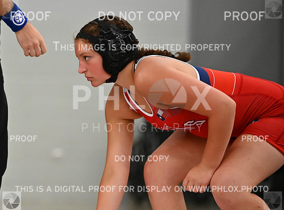 DLS_8998