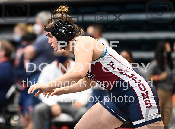 DLS_2699