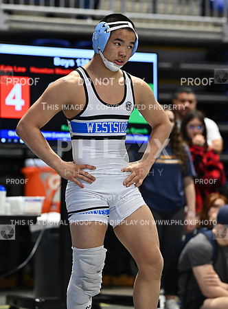 DLS_0611