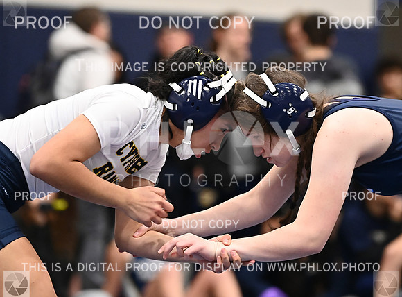 DLS_5755
