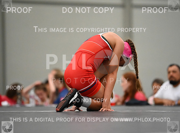 DLS_7563