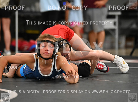 DLS_8886