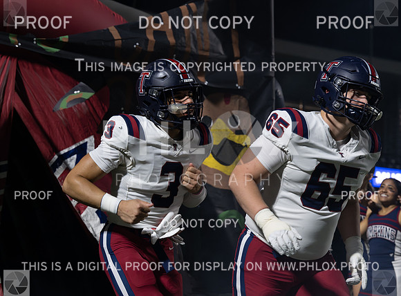DLS_6396